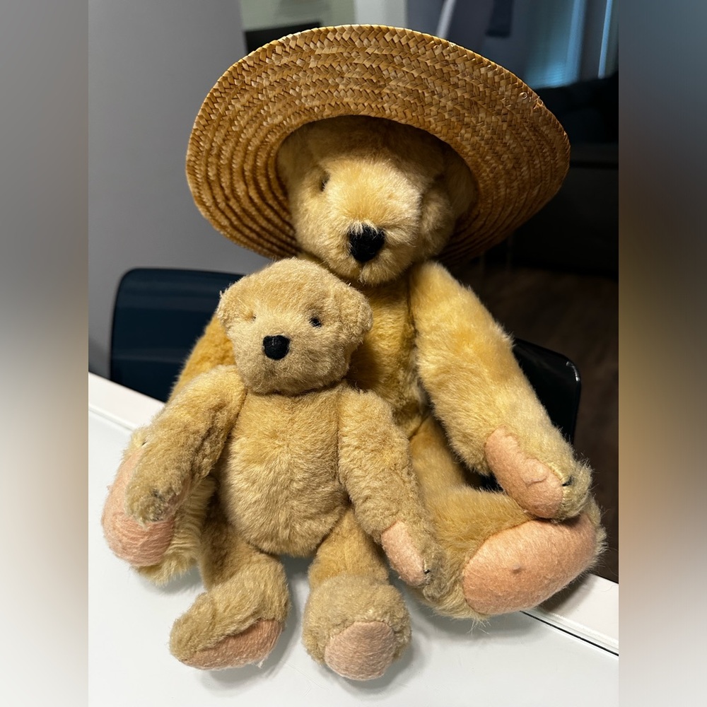 Vintage Vanderbear Family 1982 North America Teddy Bear Duo with Straw Hat
